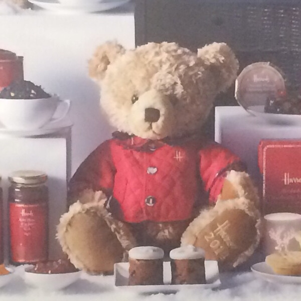 wenn man ein&shy;mal das hit&shy;ler&shy;b&auml;rt&shy;chen am ted&shy;dy ge&shy;se&shy;hen hat, kann man es nicht mehr weg&shy;se&shy;hen.