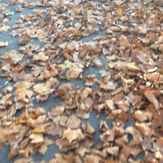 herbst!