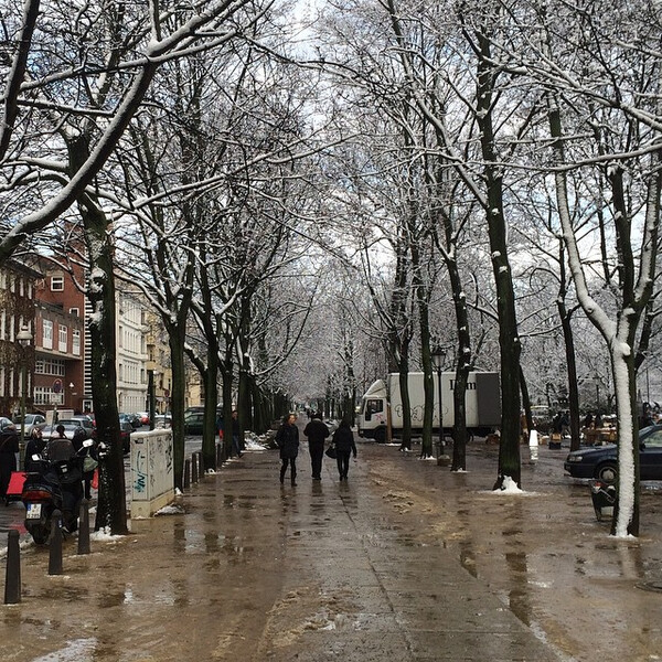 ges&shy;tern.