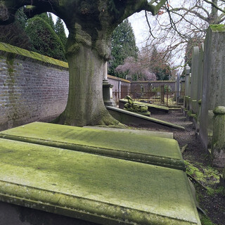 Photo by felix schwenzel on April 04, 2015. Keine Fotobeschreibung verfügbar..